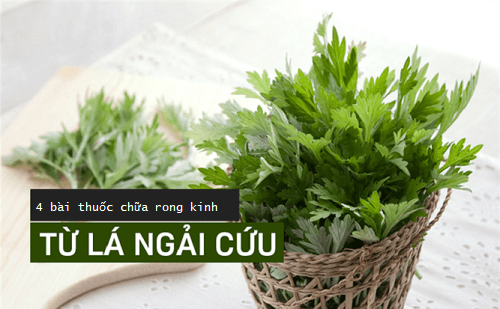 4 bài thuốc chữa rong kinh từ lá ngải cứu